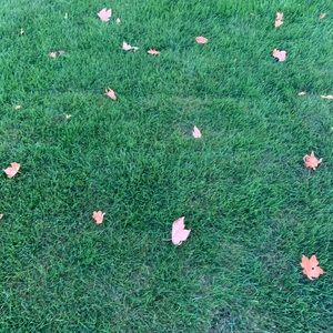 Meet your Posher, Xue